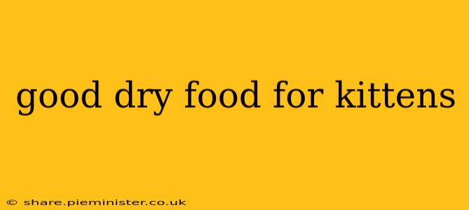 good dry food for kittens