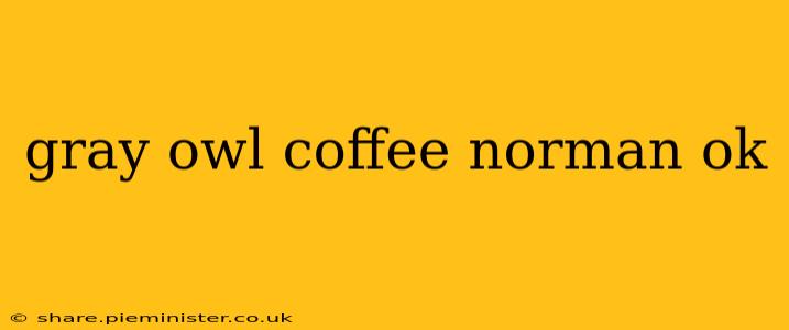 gray owl coffee norman ok