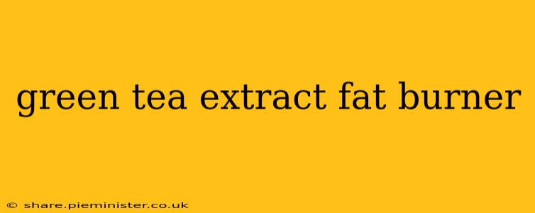 green tea extract fat burner