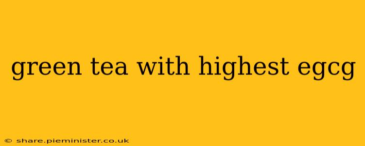 green tea with highest egcg