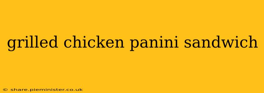 grilled chicken panini sandwich