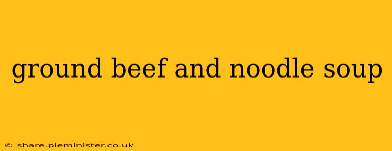 ground beef and noodle soup