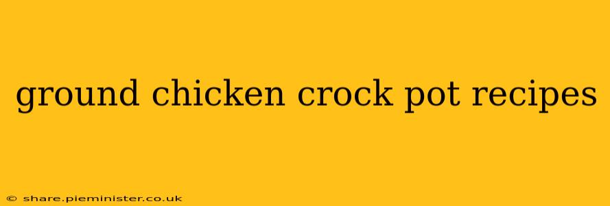ground chicken crock pot recipes