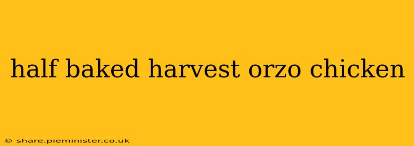 half baked harvest orzo chicken
