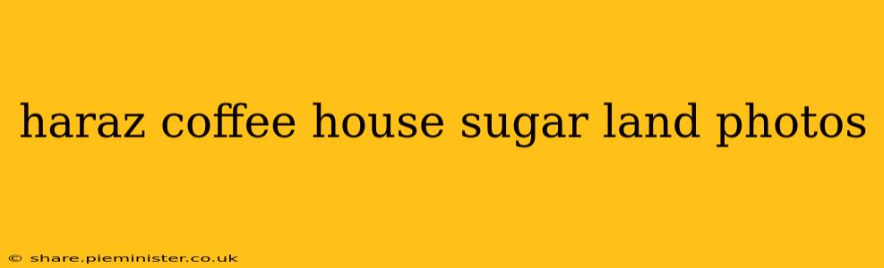 haraz coffee house sugar land photos