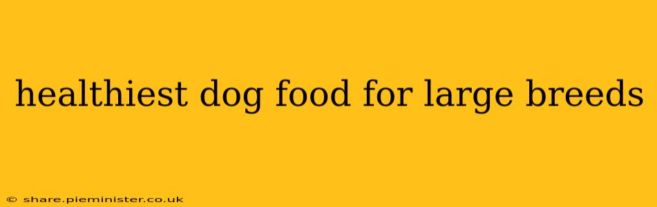 healthiest dog food for large breeds
