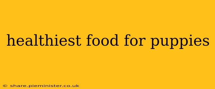 healthiest food for puppies