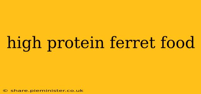 high protein ferret food