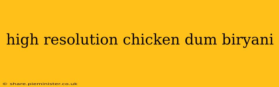 high resolution chicken dum biryani