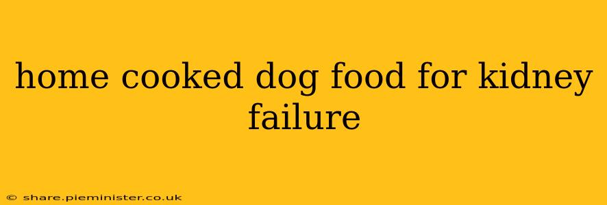 home cooked dog food for kidney failure