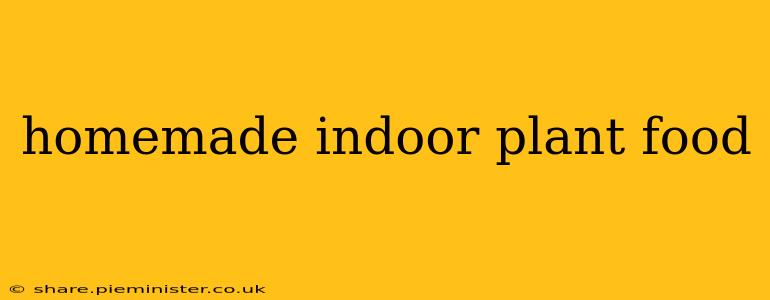 homemade indoor plant food