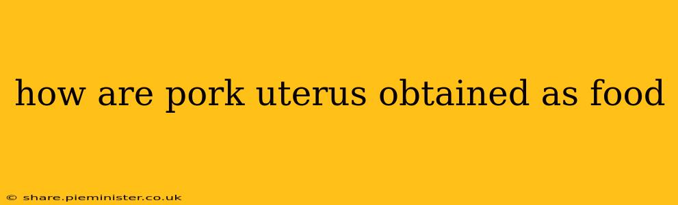 how are pork uterus obtained as food