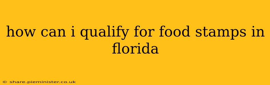 how can i qualify for food stamps in florida