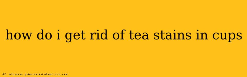 how do i get rid of tea stains in cups