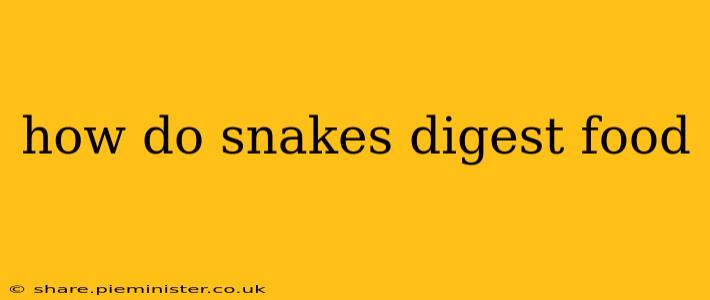 how do snakes digest food