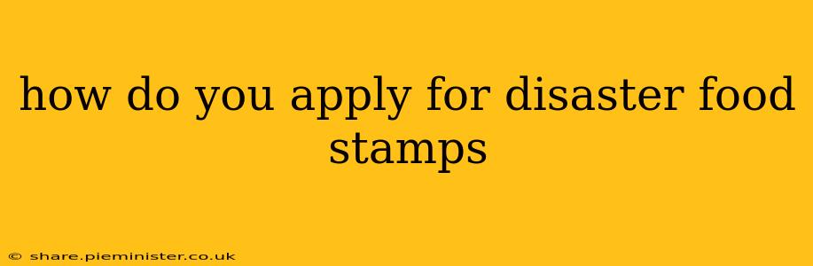 how do you apply for disaster food stamps