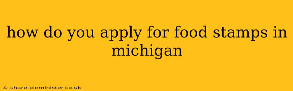 how do you apply for food stamps in michigan