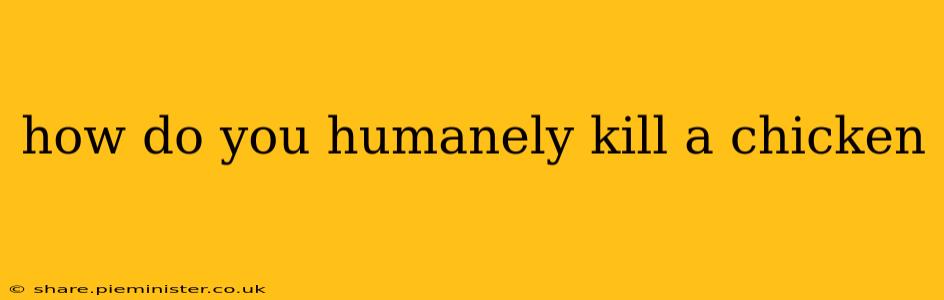 how do you humanely kill a chicken