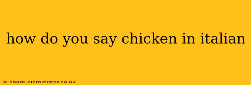 how do you say chicken in italian