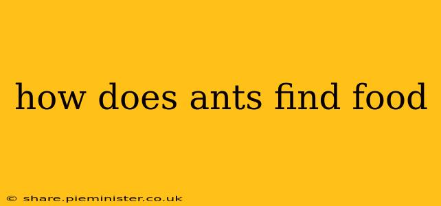 how does ants find food
