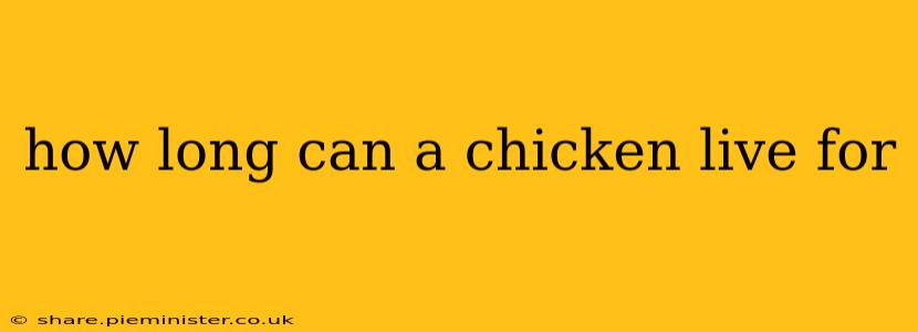 how long can a chicken live for