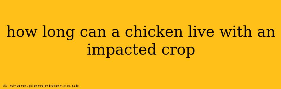 how long can a chicken live with an impacted crop