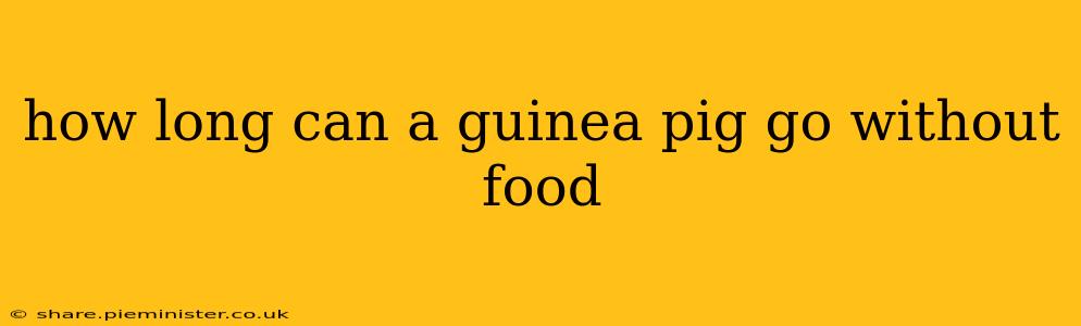 how long can a guinea pig go without food