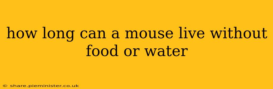how long can a mouse live without food or water