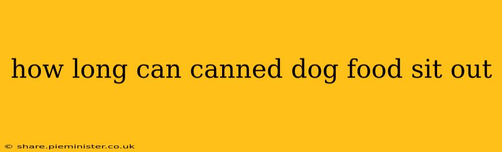 how long can canned dog food sit out