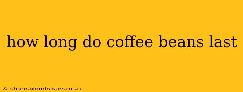 how long do coffee beans last