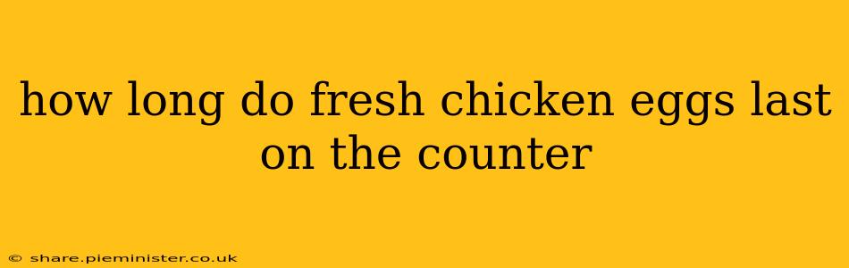 how long do fresh chicken eggs last on the counter