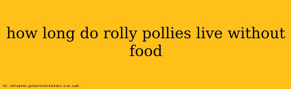 how long do rolly pollies live without food