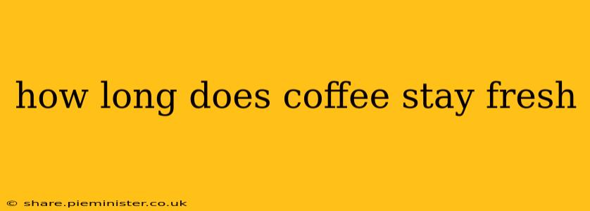 how long does coffee stay fresh