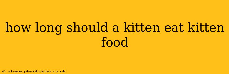 how long should a kitten eat kitten food