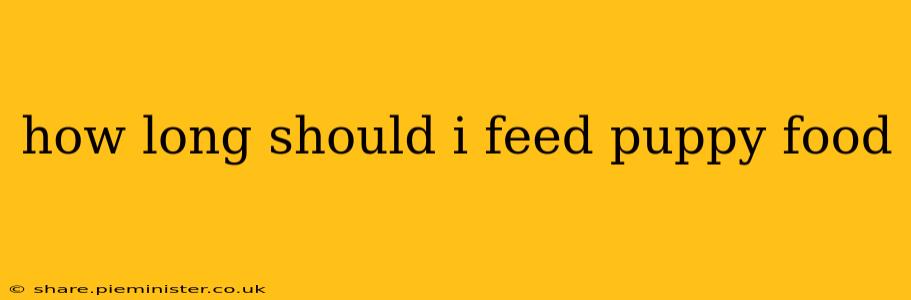 how long should i feed puppy food