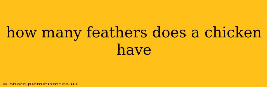 how many feathers does a chicken have