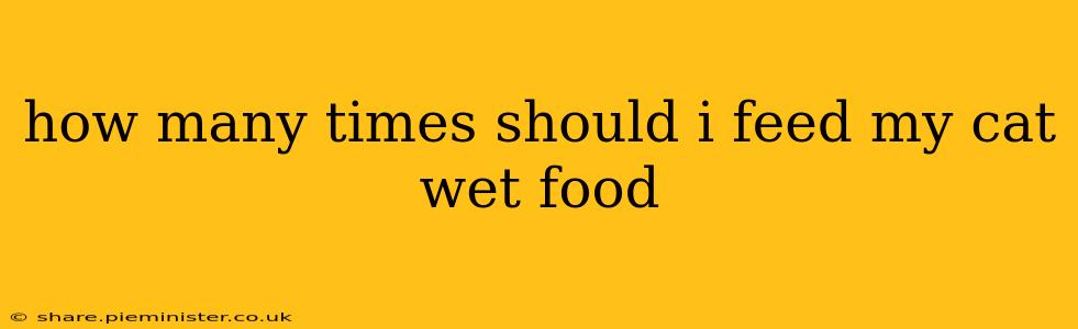 how many times should i feed my cat wet food