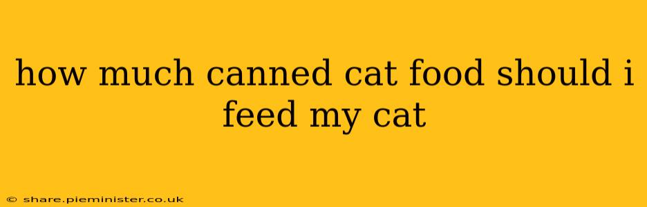 how much canned cat food should i feed my cat