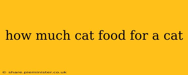 how much cat food for a cat