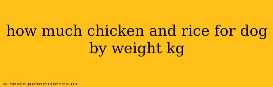 how much chicken and rice for dog by weight kg