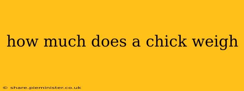 how much does a chick weigh