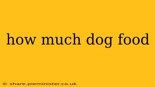 how much dog food