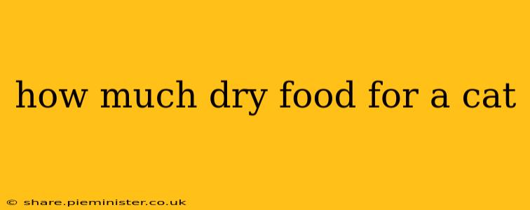 how much dry food for a cat
