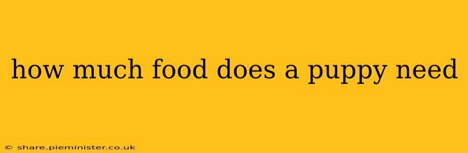 how much food does a puppy need