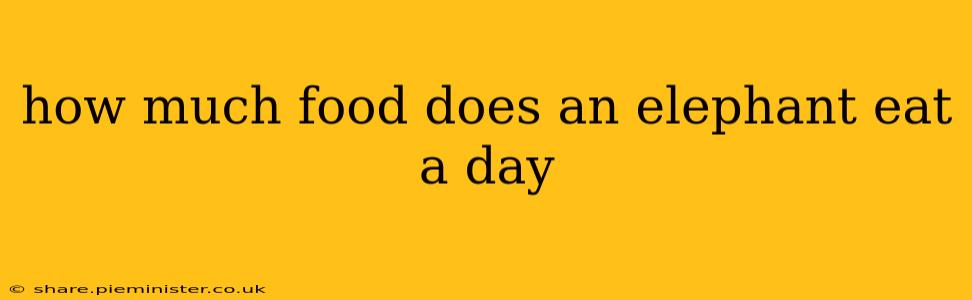 how much food does an elephant eat a day