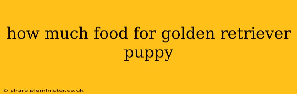 how much food for golden retriever puppy
