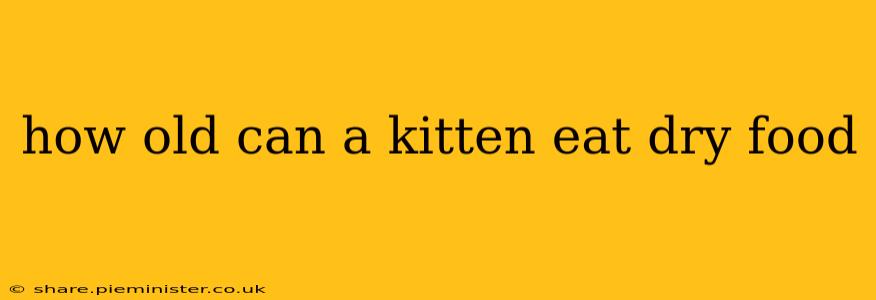 how old can a kitten eat dry food