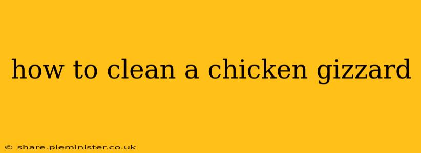 how to clean a chicken gizzard