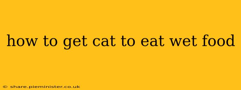 how to get cat to eat wet food