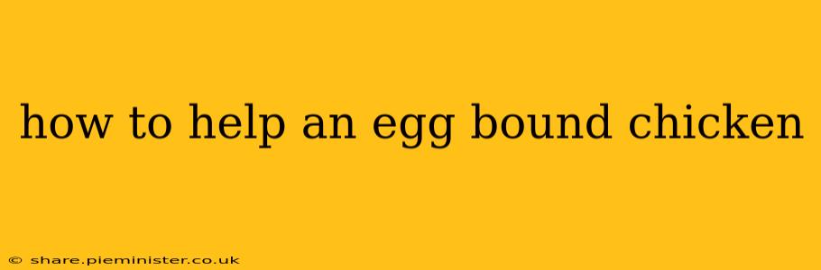 how to help an egg bound chicken